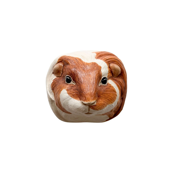 Guinea Pig 4