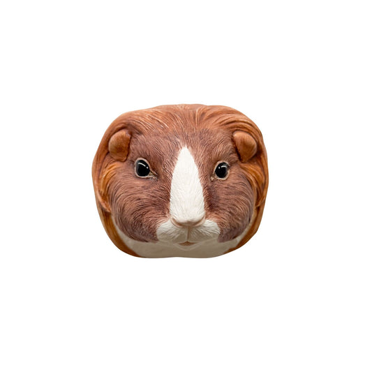 Guinea Pig 3