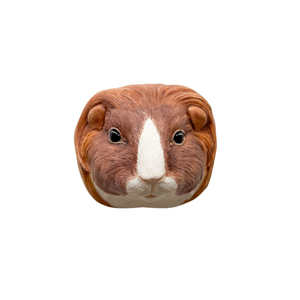 Guinea Pig 3