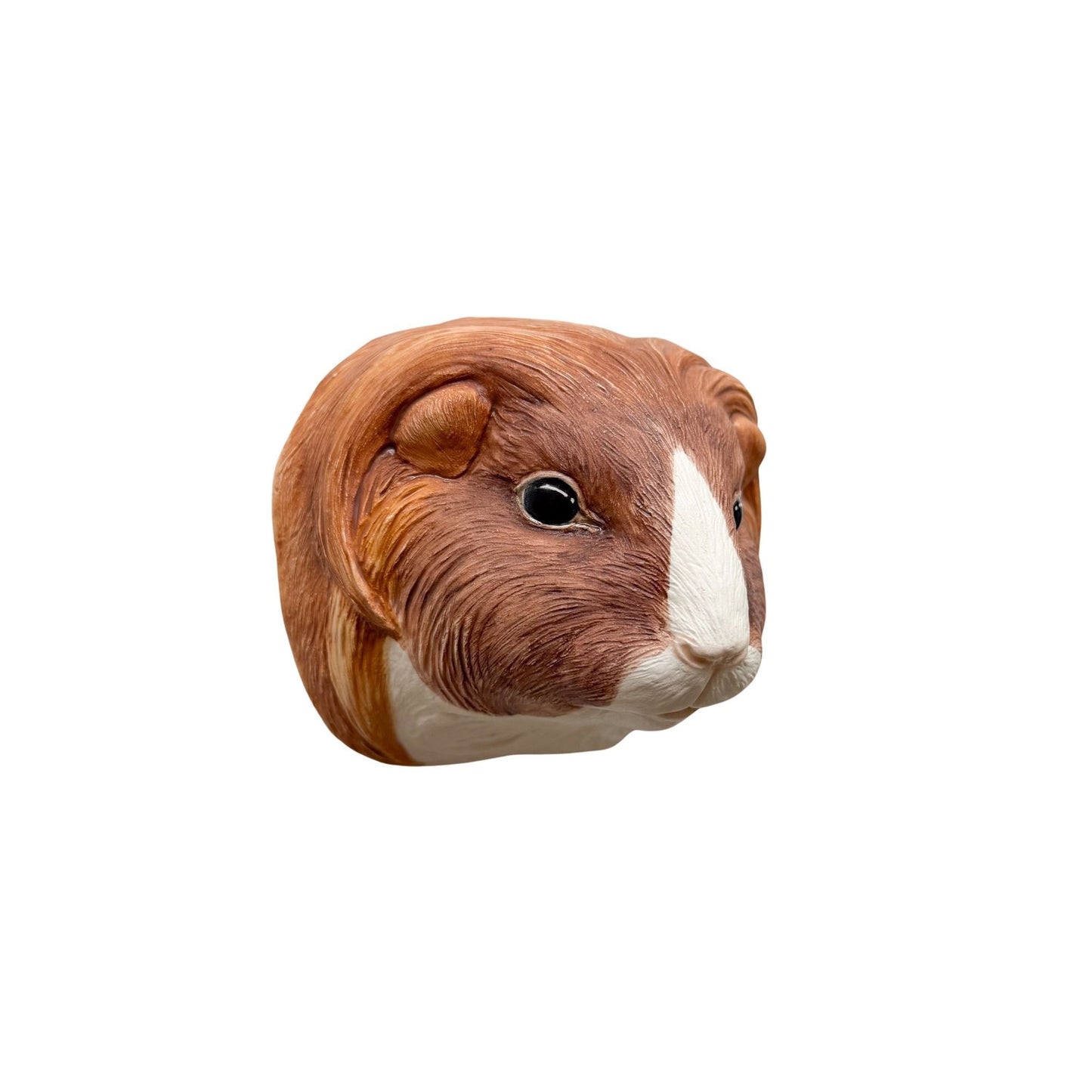Guinea Pig 3