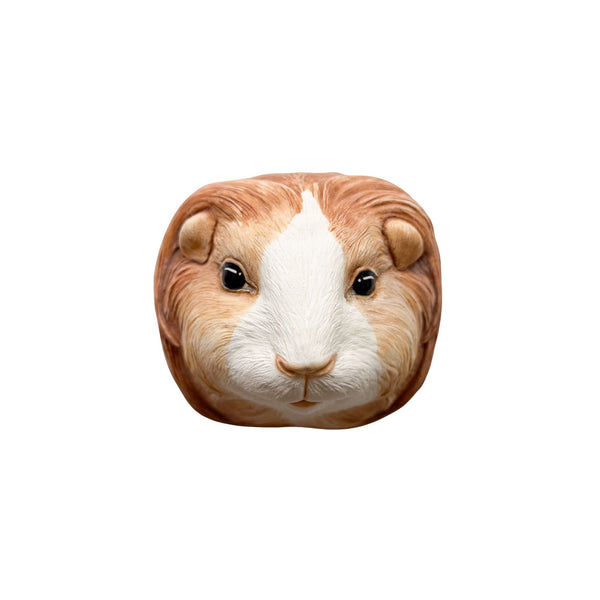 Guinea Pig 7
