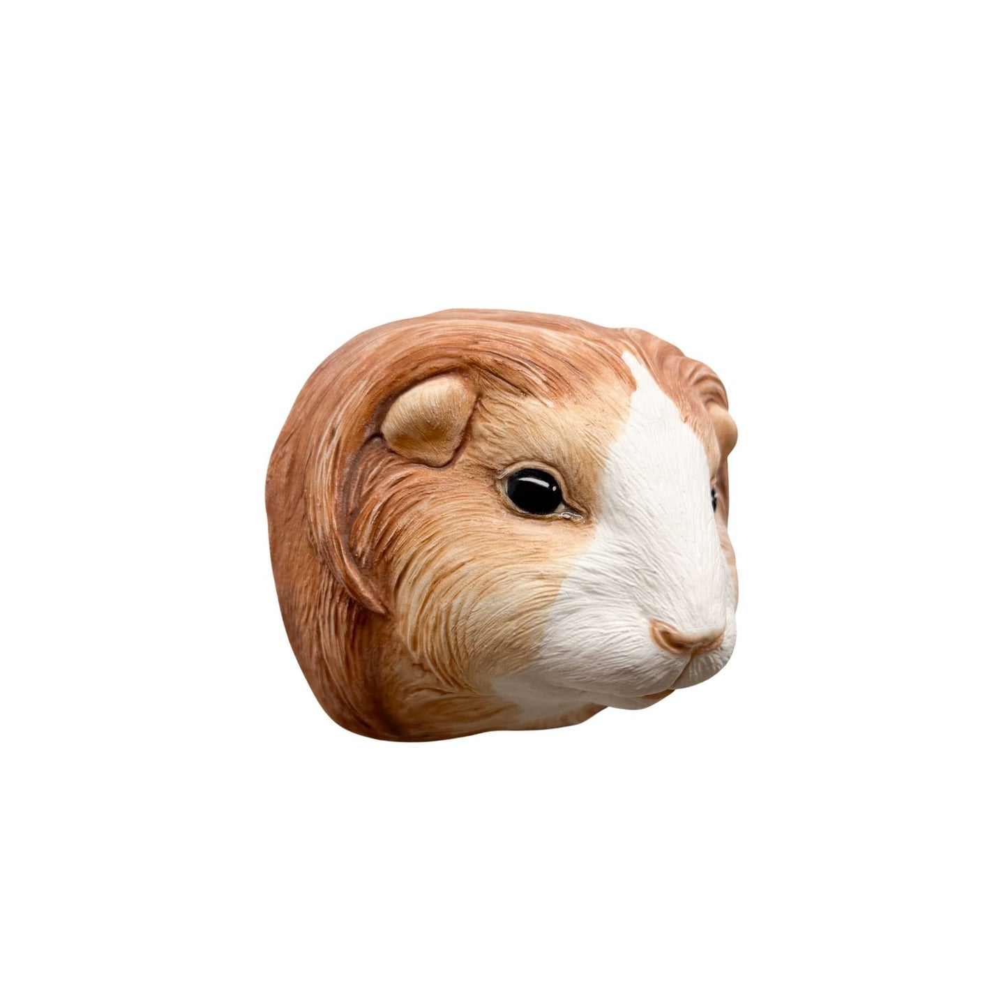 Guinea Pig 7