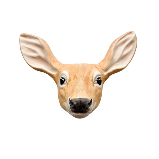 Doe 10