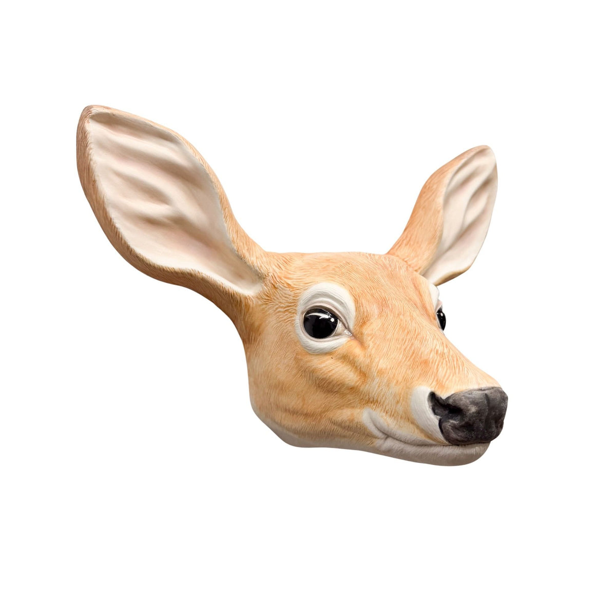 Doe 10