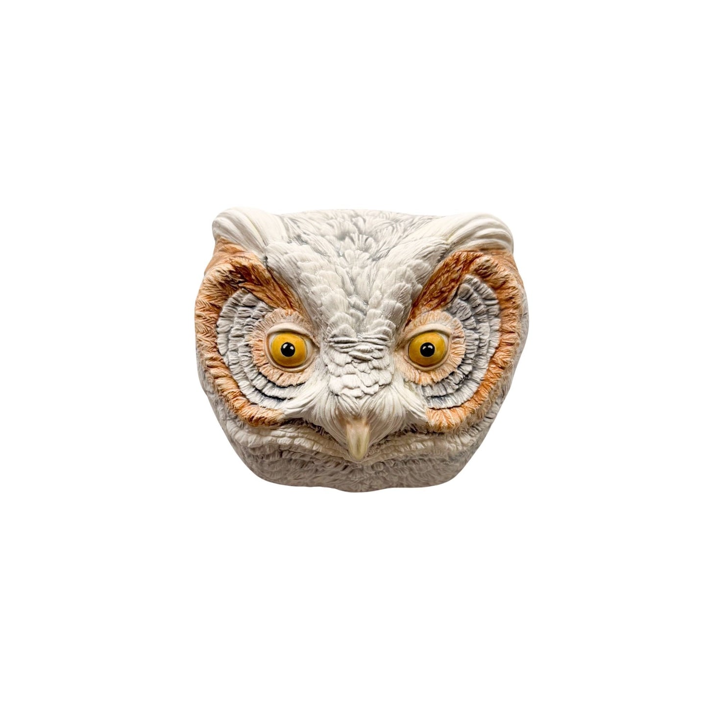 Flammulated Owl 40