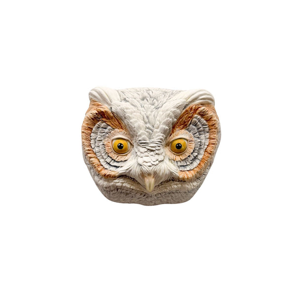 Flammulated Owl 40