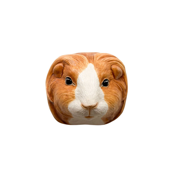 Guinea Pig 8