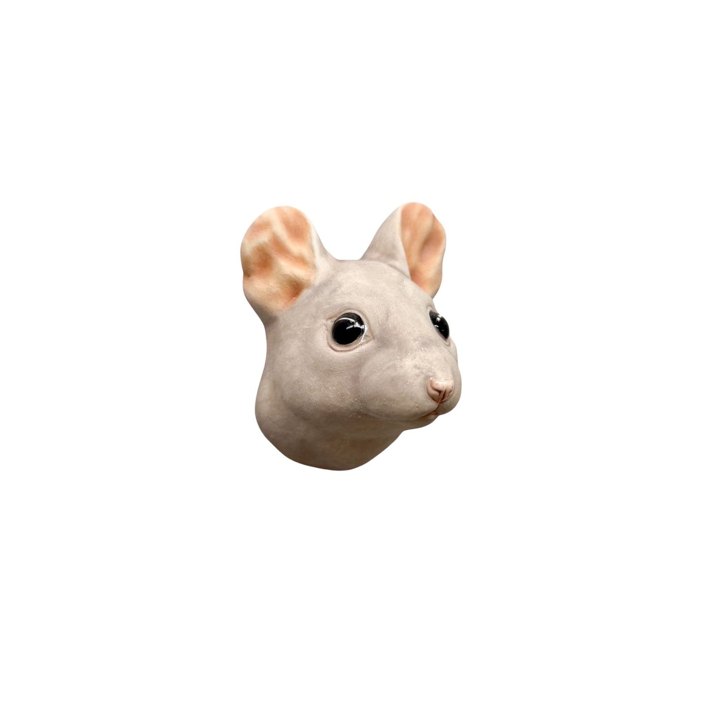 Mouse 47