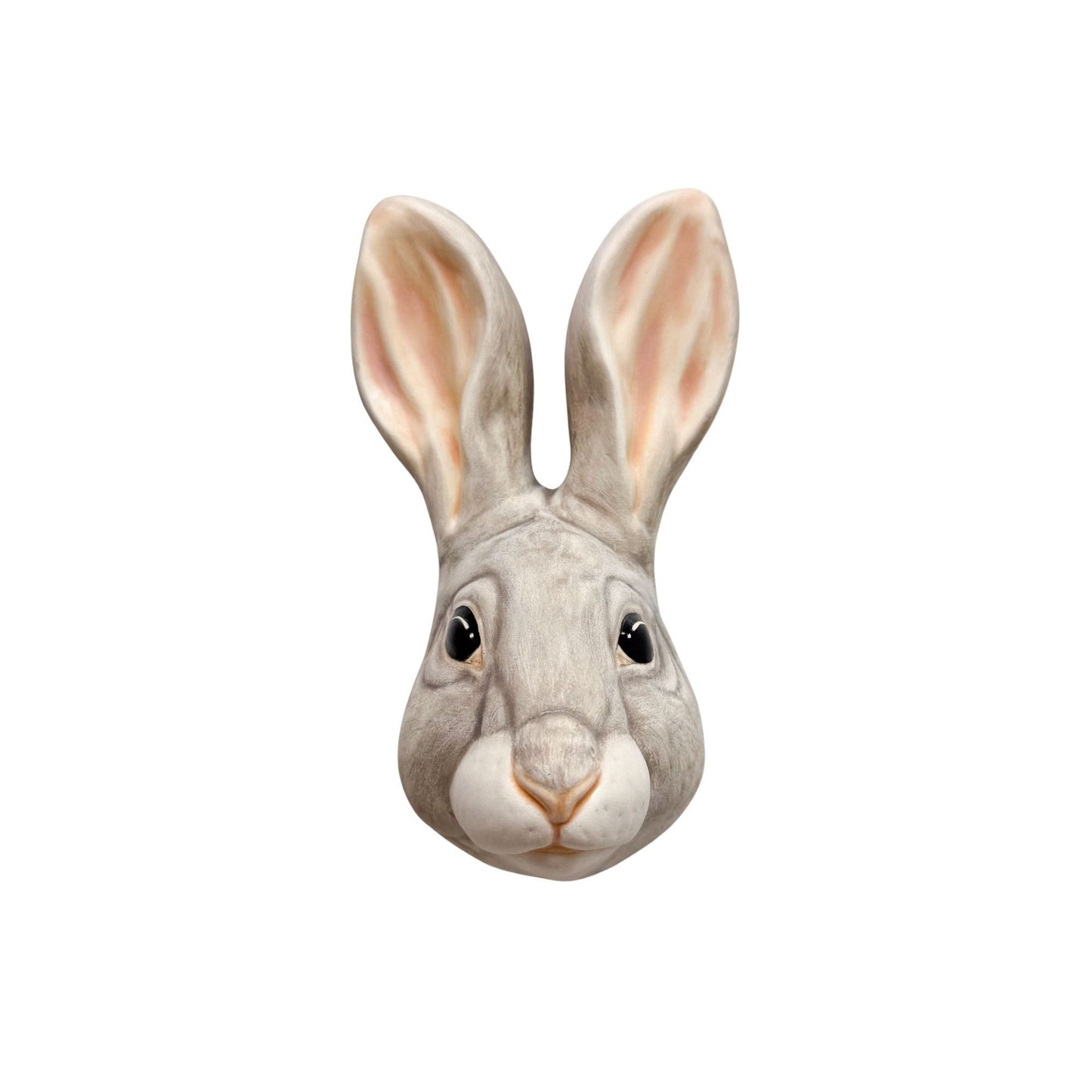 Rabbit 3