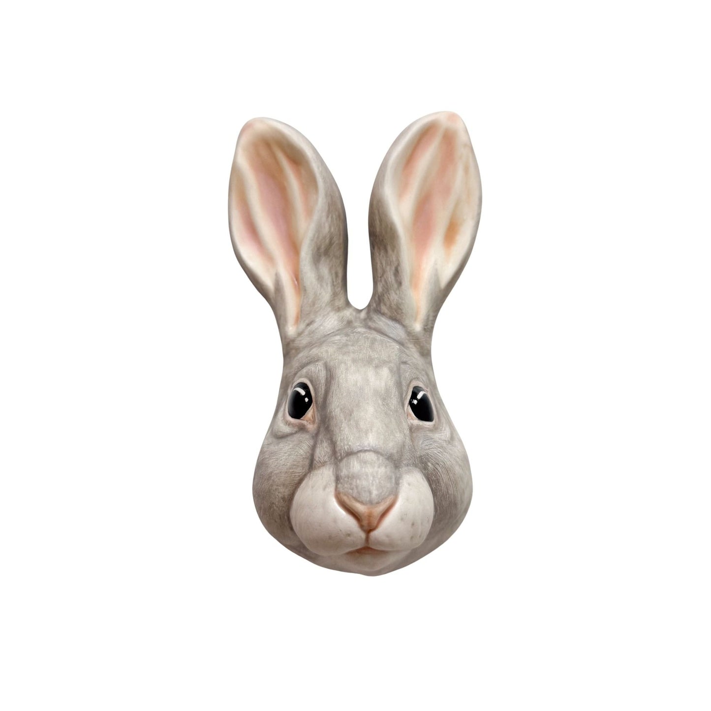 Rabbit 4