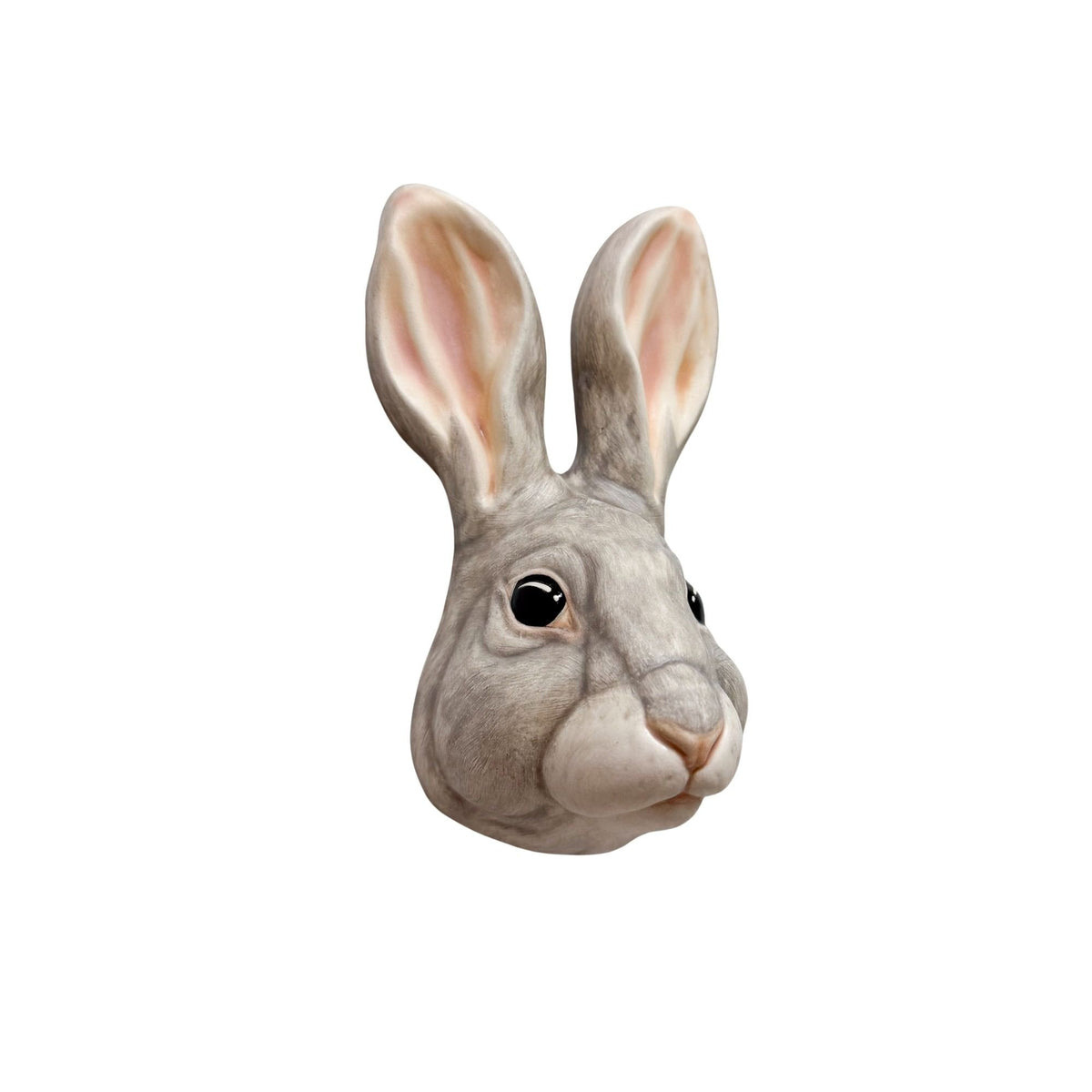 Rabbit 4