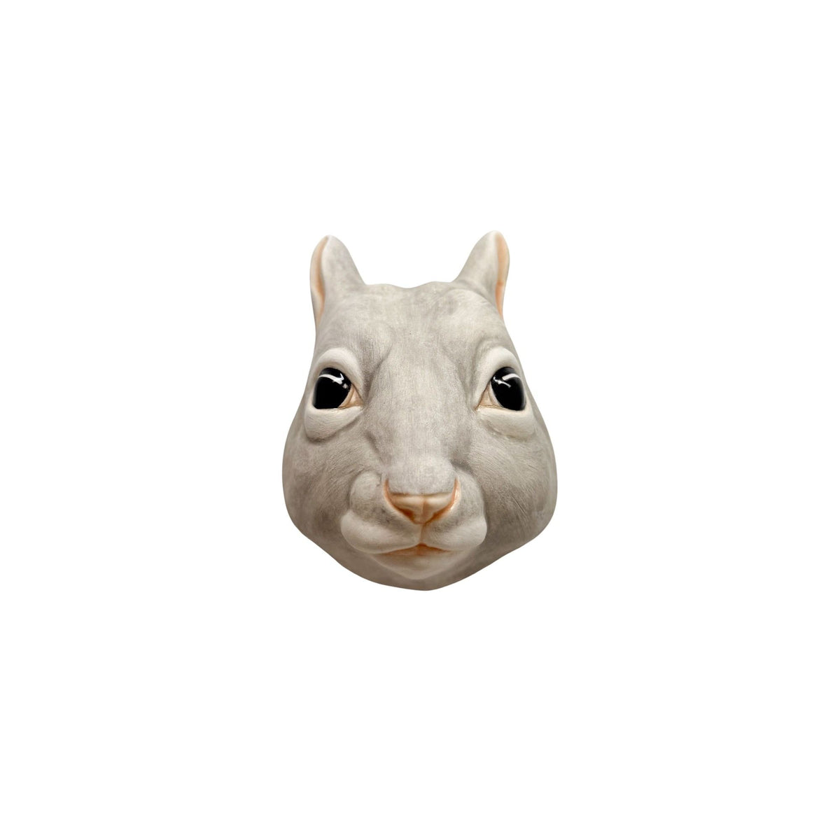 Squirrel 38
