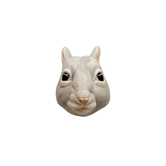 Squirrel 38
