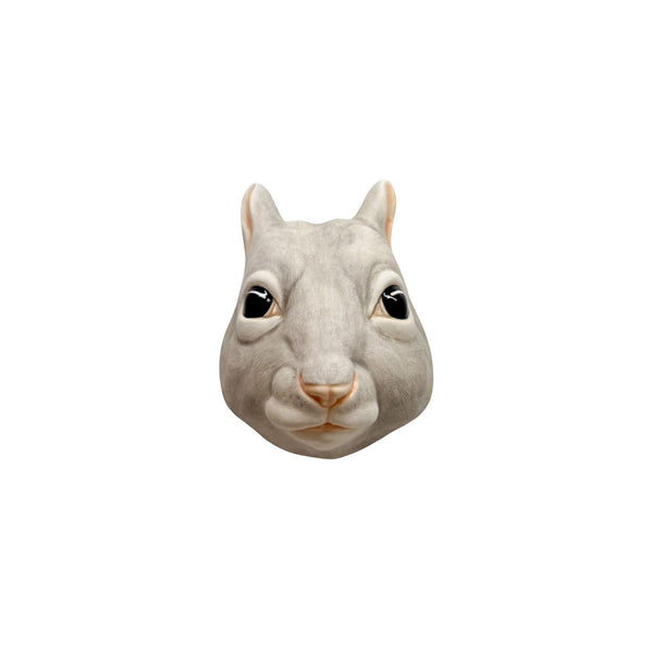Squirrel 38