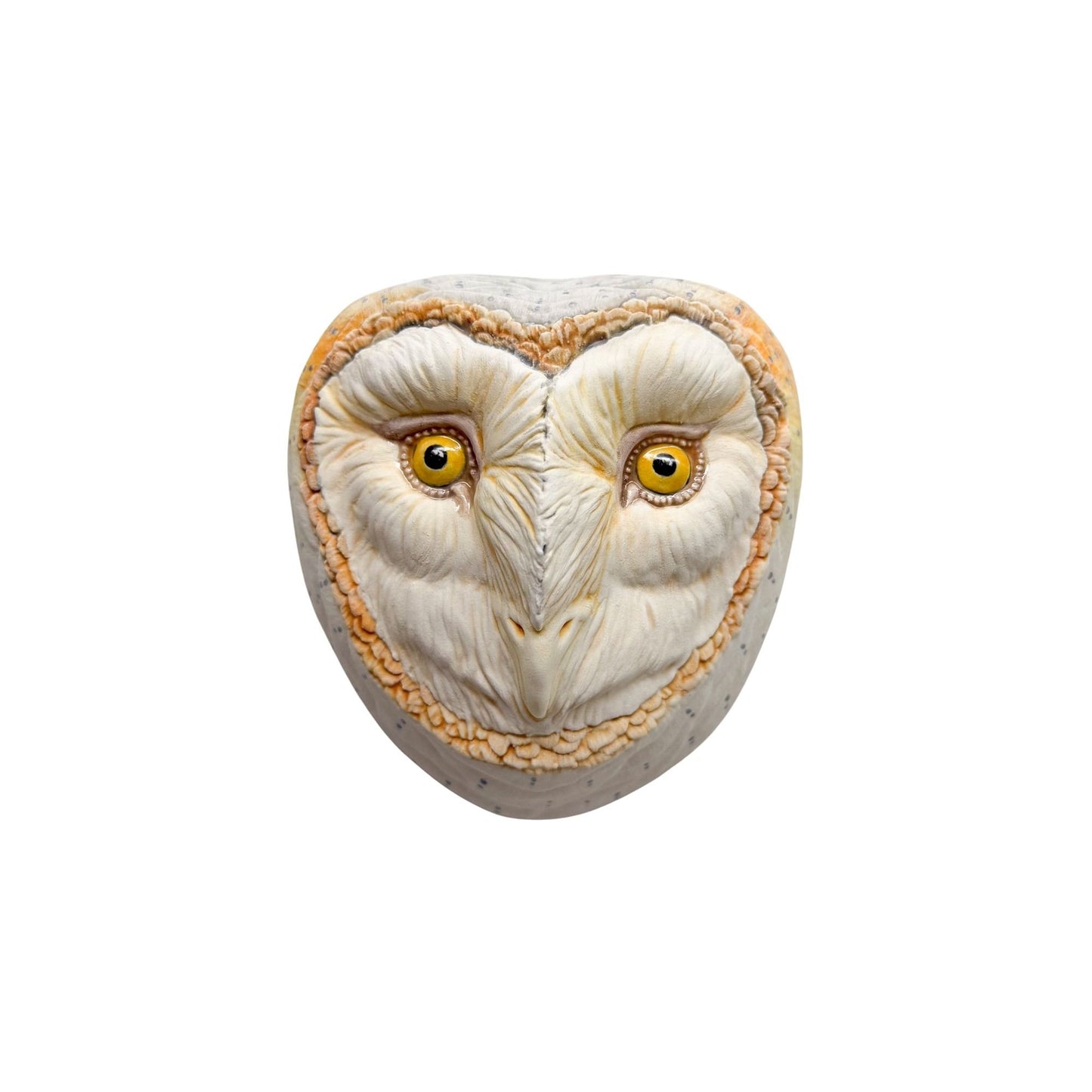 Barn Owl 1