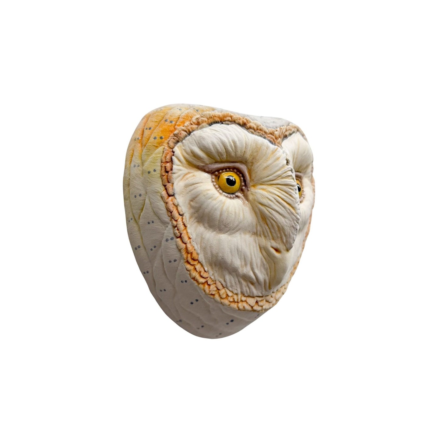 Barn Owl 1