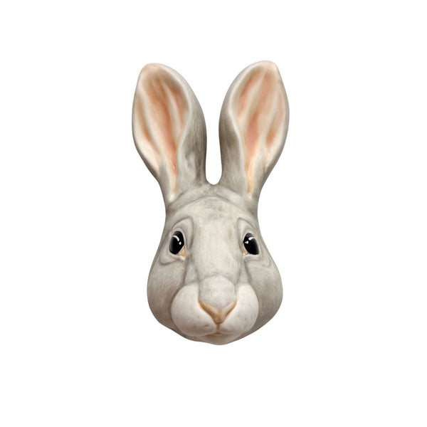 Rabbit 5