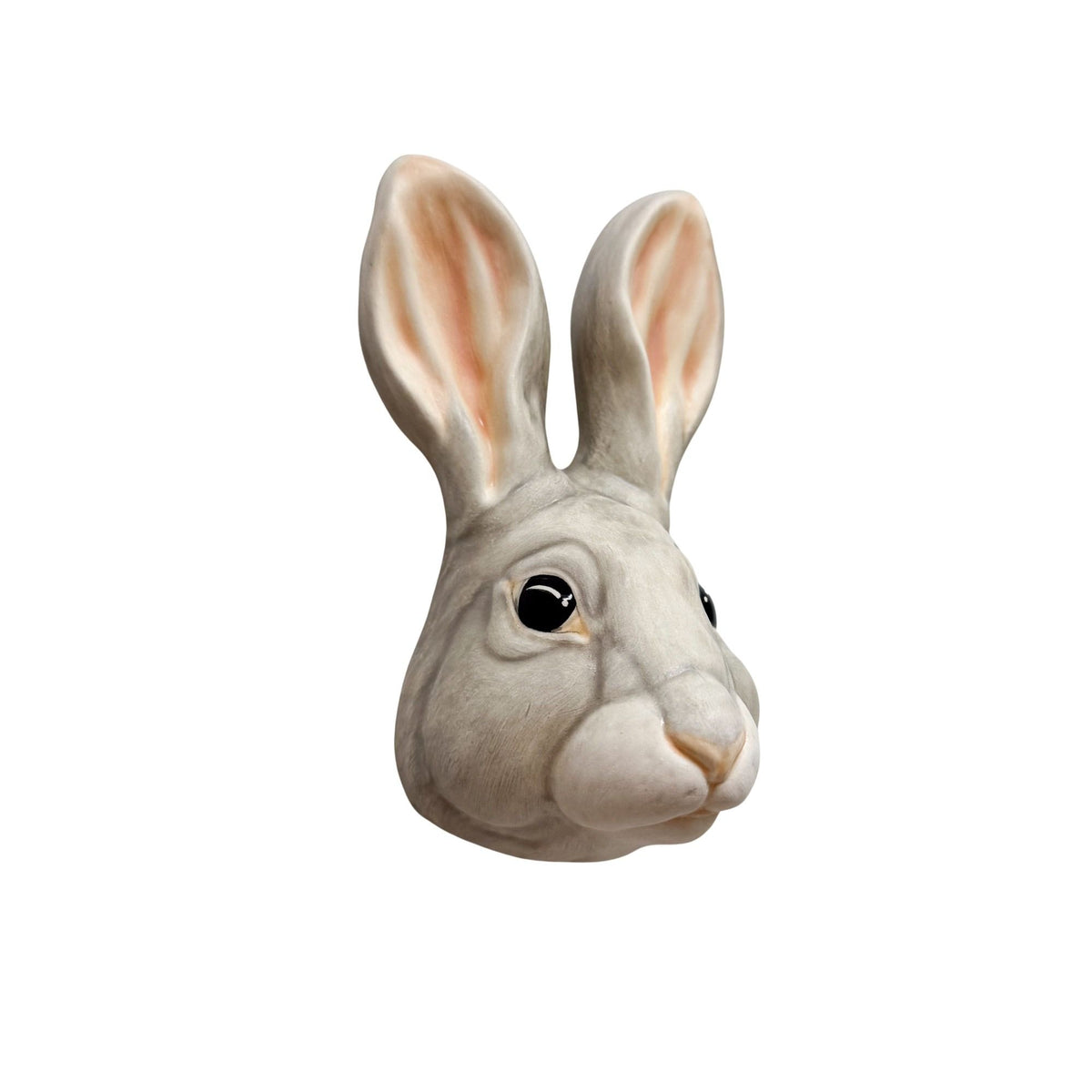 Rabbit 5