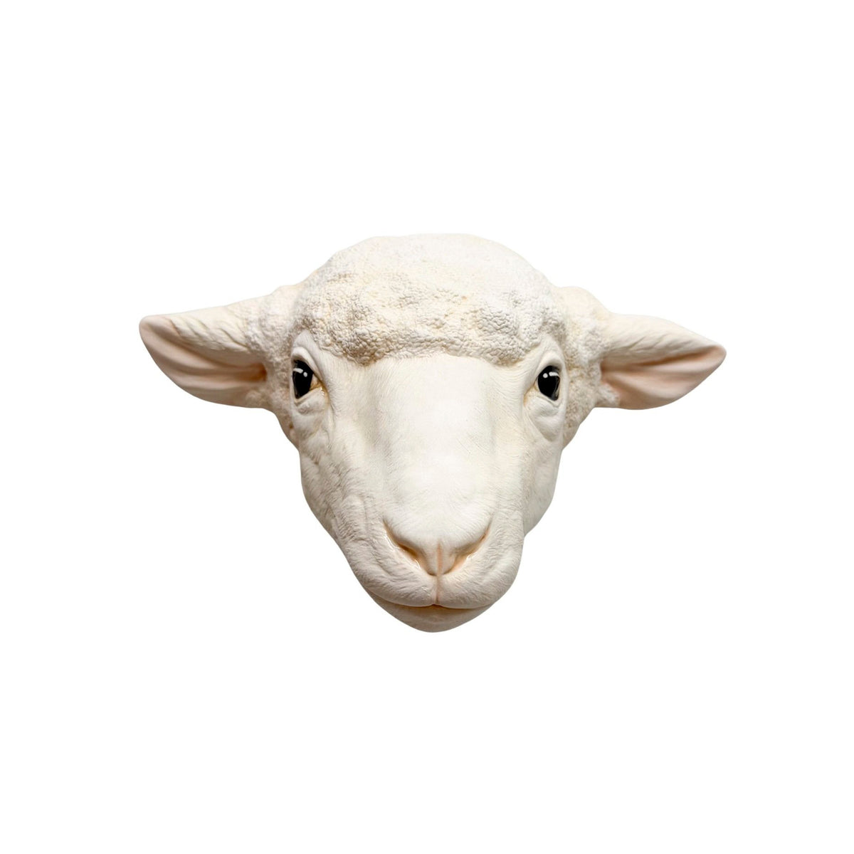Sheep 4