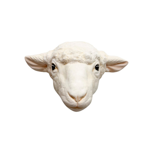 Sheep 4