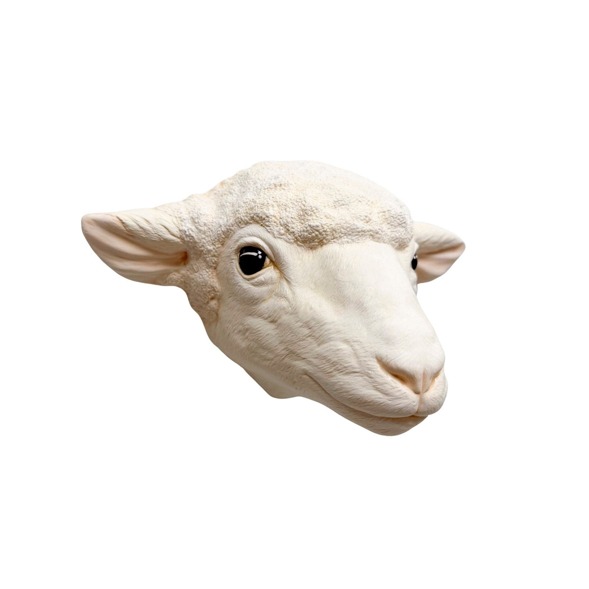 Sheep 4