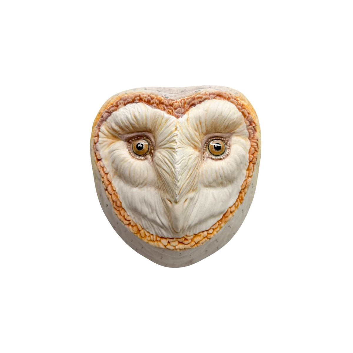 Barn Owl 2