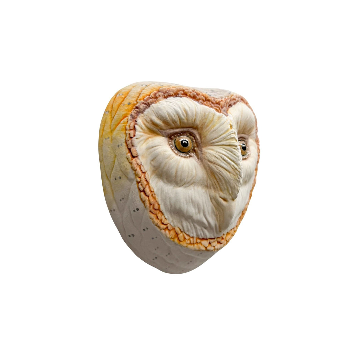 Barn Owl 2