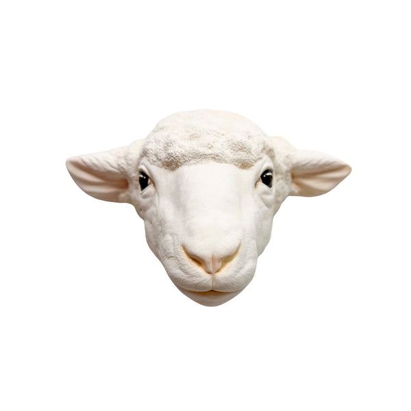 Sheep 5