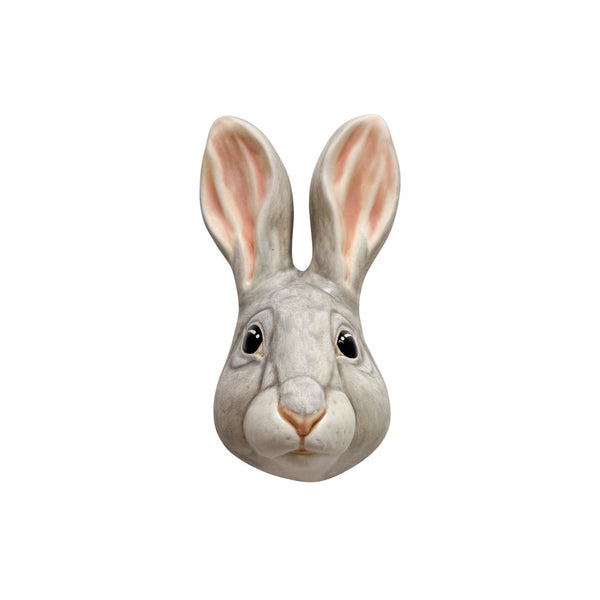 Rabbit 6