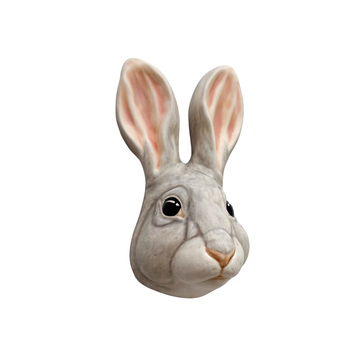 Rabbit 6