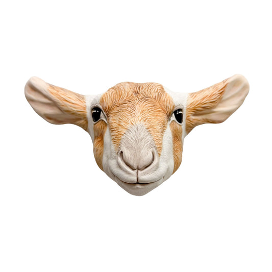 Goat 14