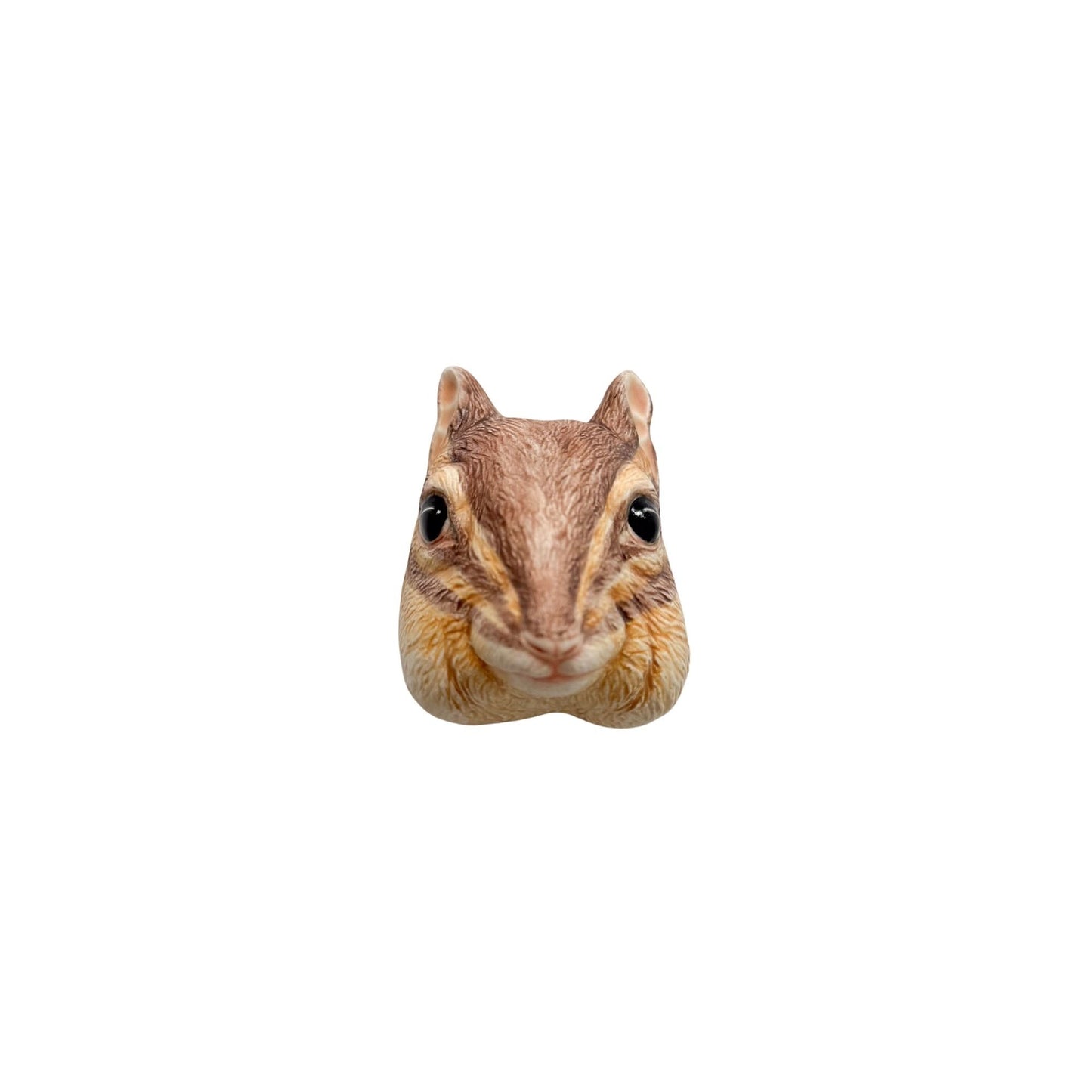 Chipmunk 50