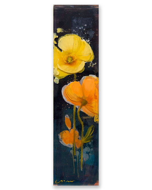 Midnight Poppy II