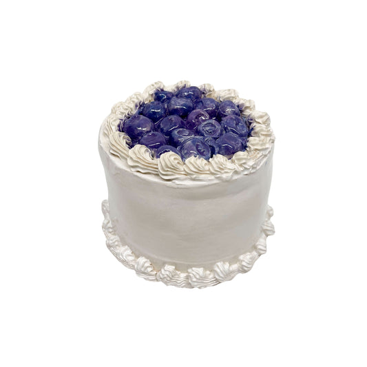Blueberry Topped Cake 93