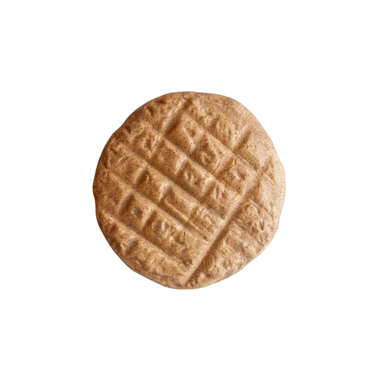 Peanut Butter Cookie