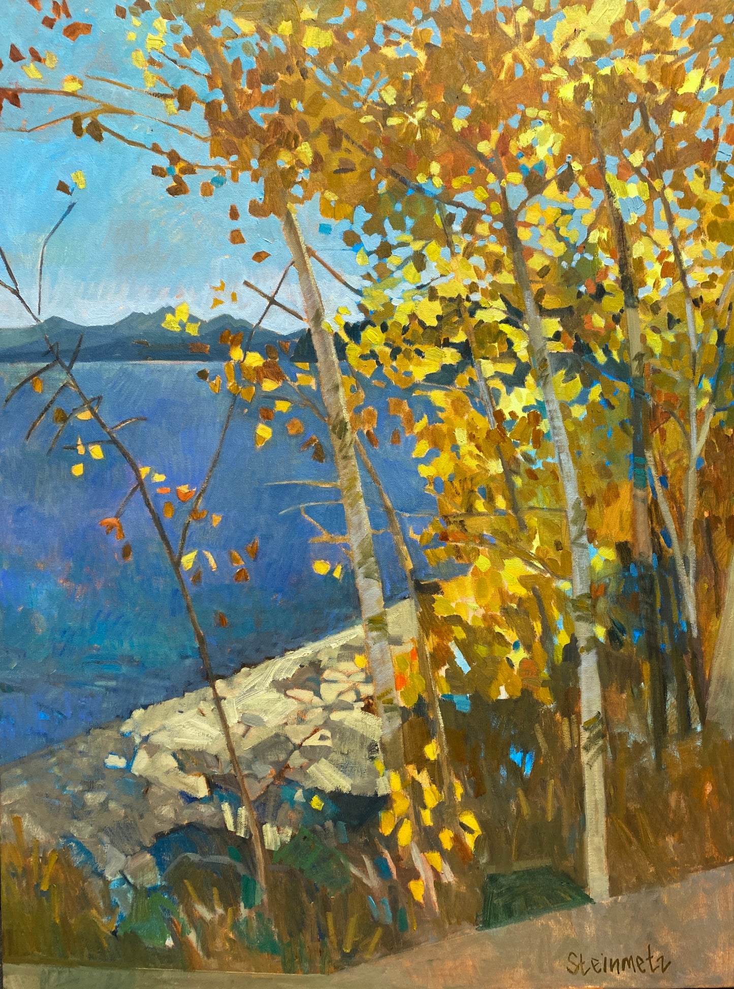 West Lake Aspens