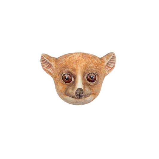 Mouse Lemur 1