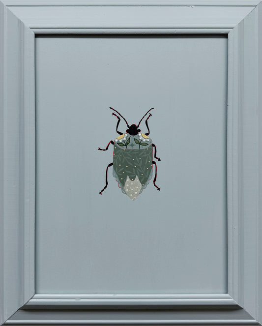 Stink Bug