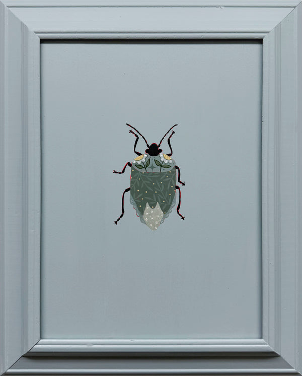 Stink Bug