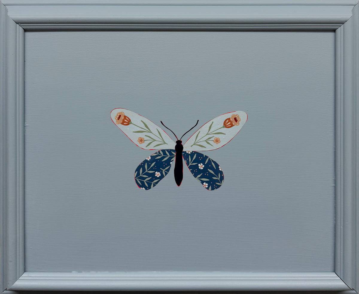 Queen Alexandra's Birdwing