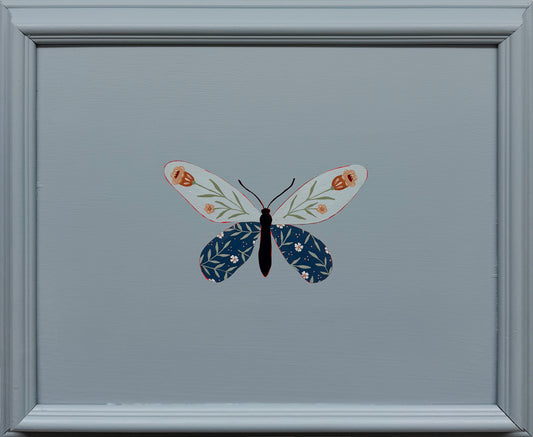 Queen Alexandra's Birdwing