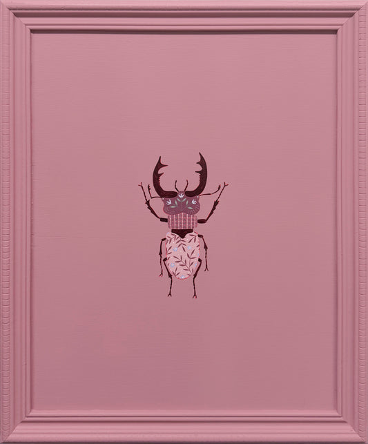 Stag Beetle