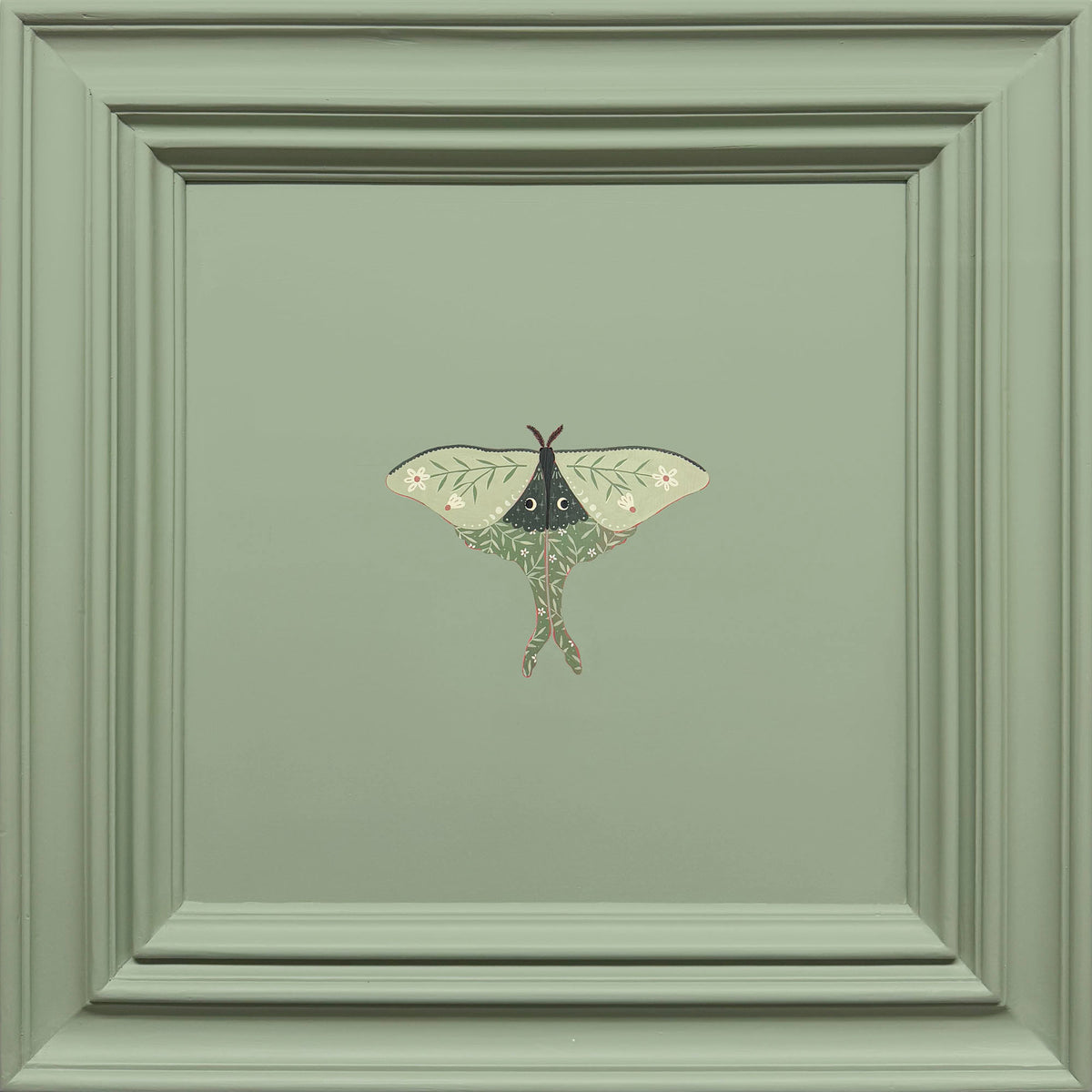 Luna Moth
