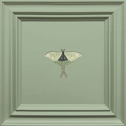 Luna Moth