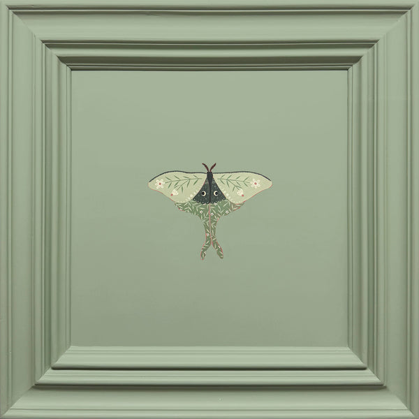 Luna Moth
