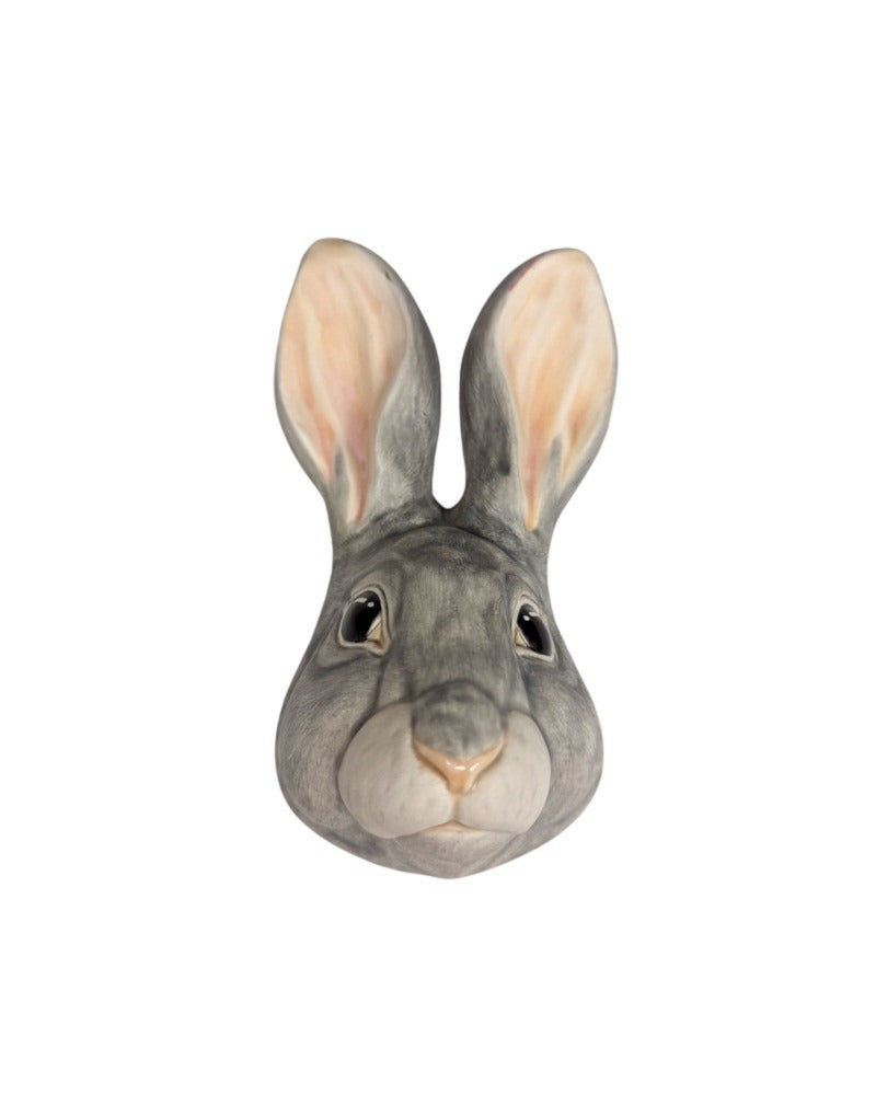 Rabbit 1