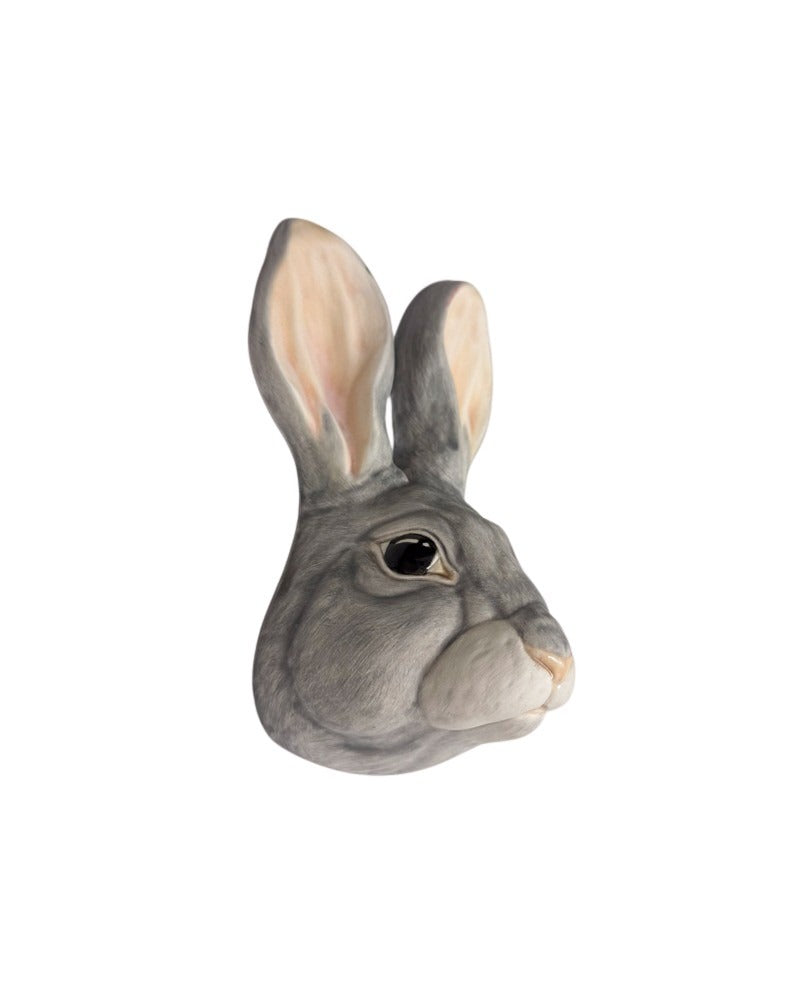 Rabbit 1