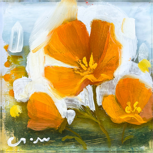 Little Poppies