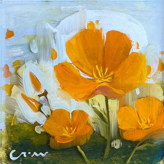 California Poppies