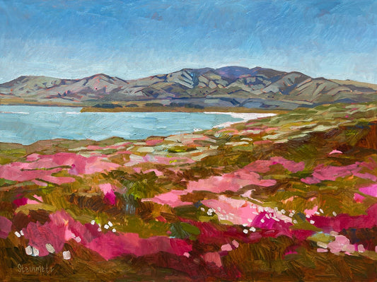 Hot Pink At Piedras Blancas Lighthouse